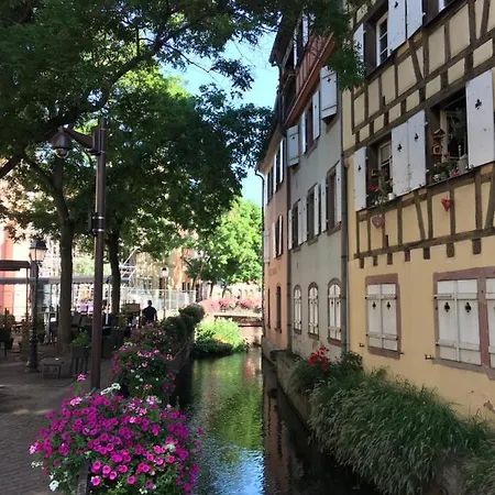 La Maison De Vacances De Colmar Et Son Jardin Buitenkant foto