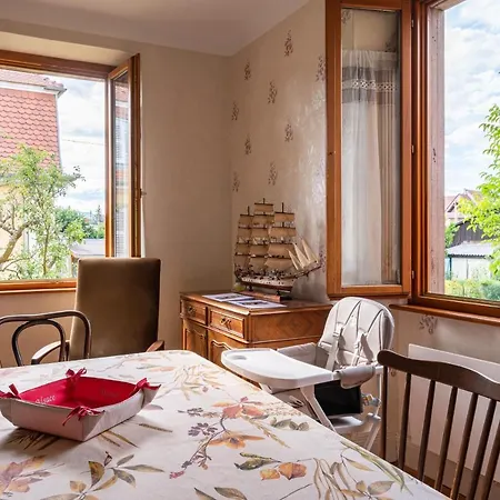 La Maison De Vacances De Colmar Et Son Jardin Buitenkant foto