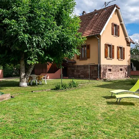 La Maison De Vacances De Colmar Et Son Jardin Buitenkant foto