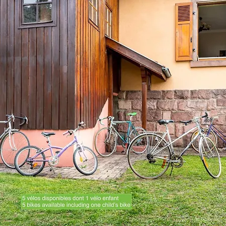 La Maison De Vacances De Colmar Et Son Jardin Buitenkant foto